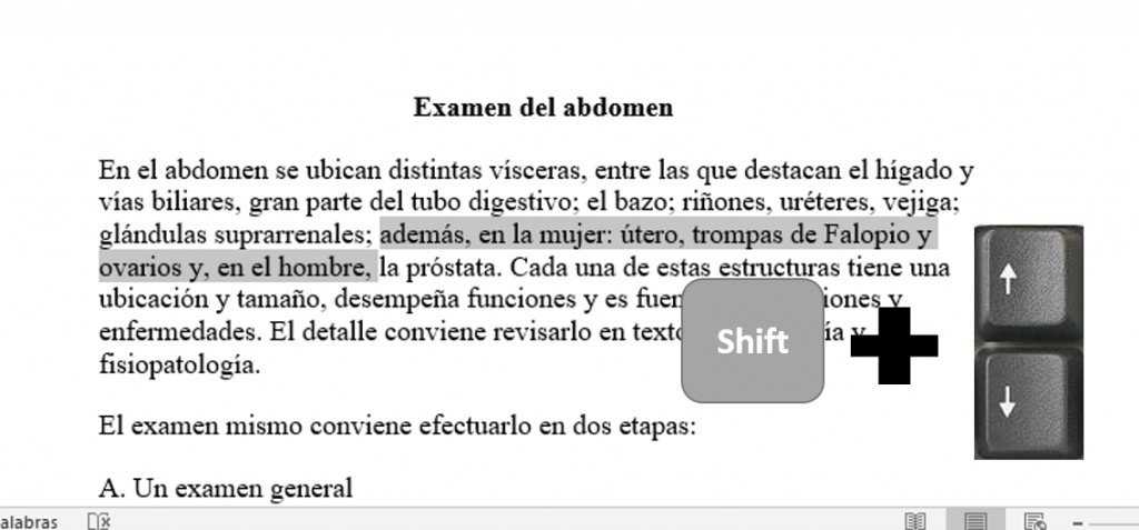 Seleccionar texto en Word con atajo de teclado Shift + Flechas